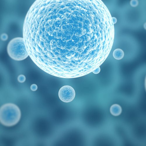 Kök Hücre Nasıl Elde Edilir, Etki Mekanizması Nedir?